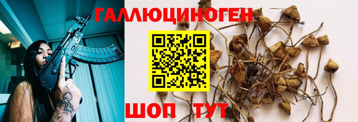 Галлюциногенные грибы ЛСД Гуково